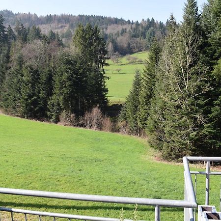 Ferienwohnung Im Dettenbachtal Waldkirch Exterior foto